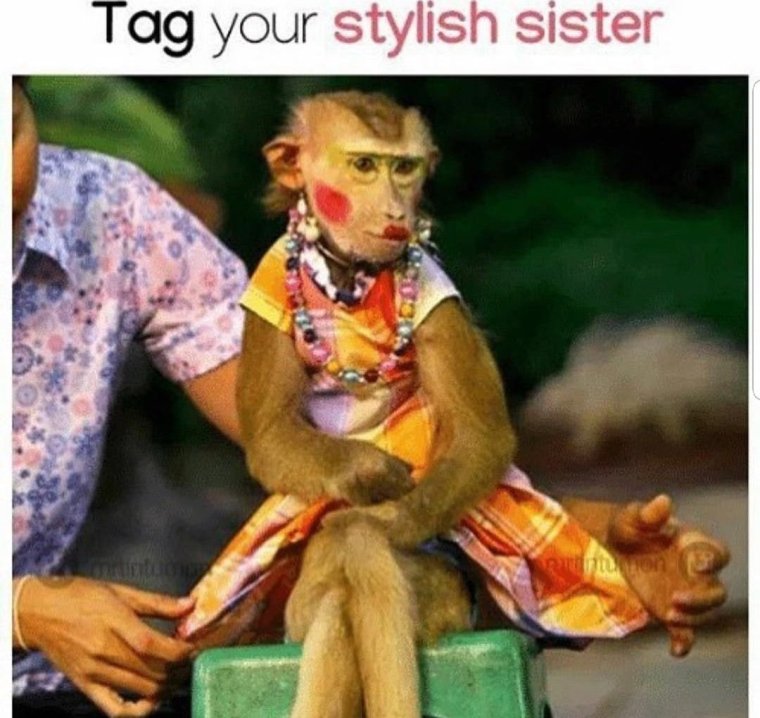 Обезьянка с макияжем