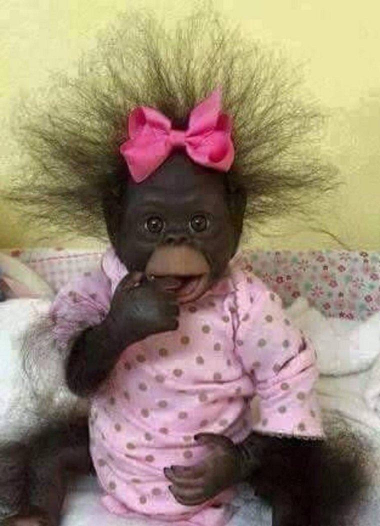 Накрашенная обезьяна