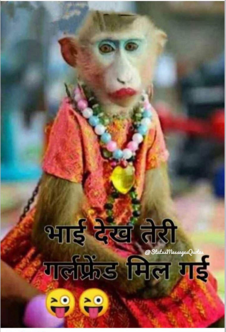 Фото обезьяны прикольные накрашенные