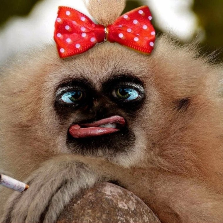 Накрашенная обезьяна