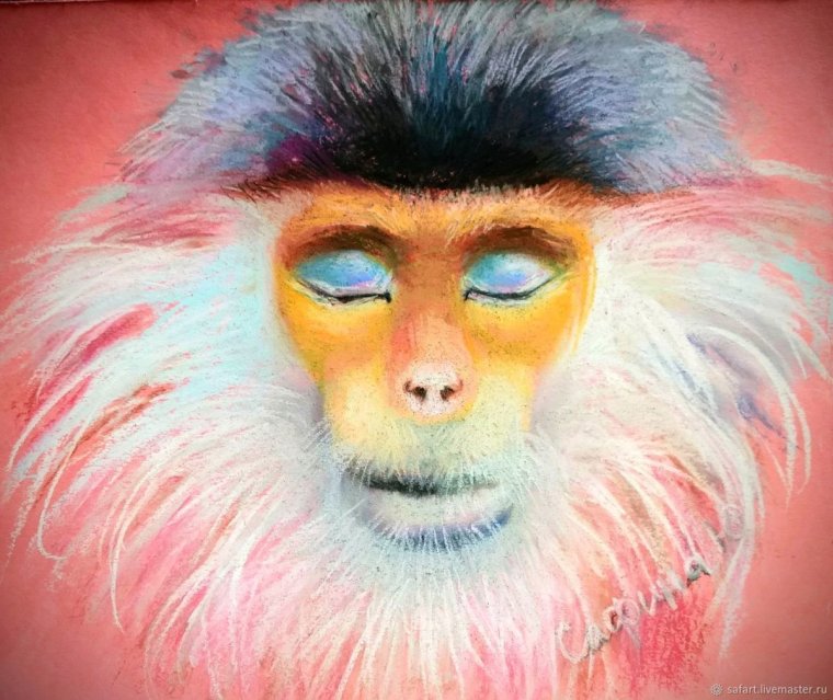 Обезьяна в платье