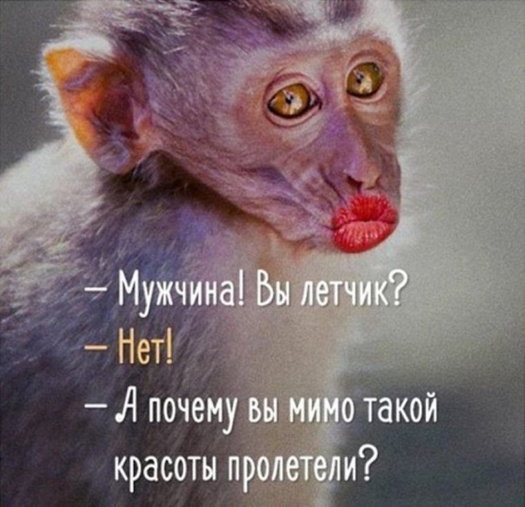 Нельзя быть красивой так