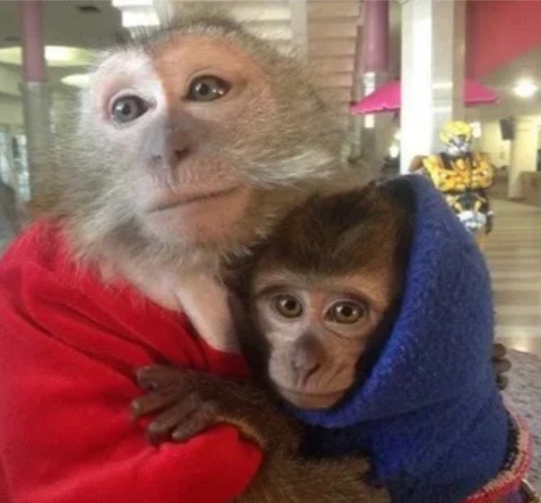 Самые смешные смешные смешные