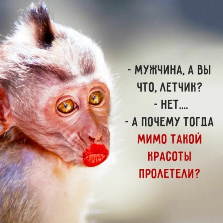 Накрашенная обезьяна