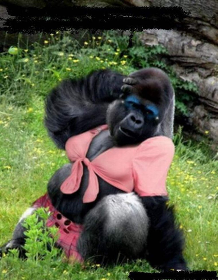 Кристалл обезьяна капуцин