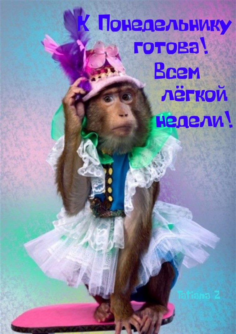 Обезьянка в платье