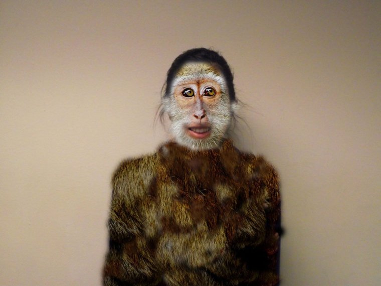 Кунац меймун