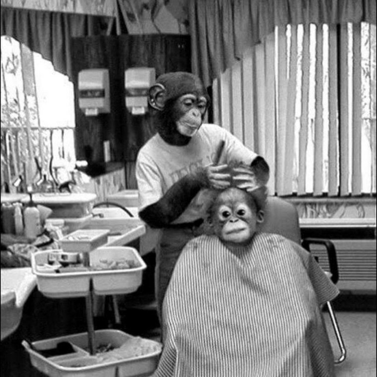 Обезьянка с бантиком