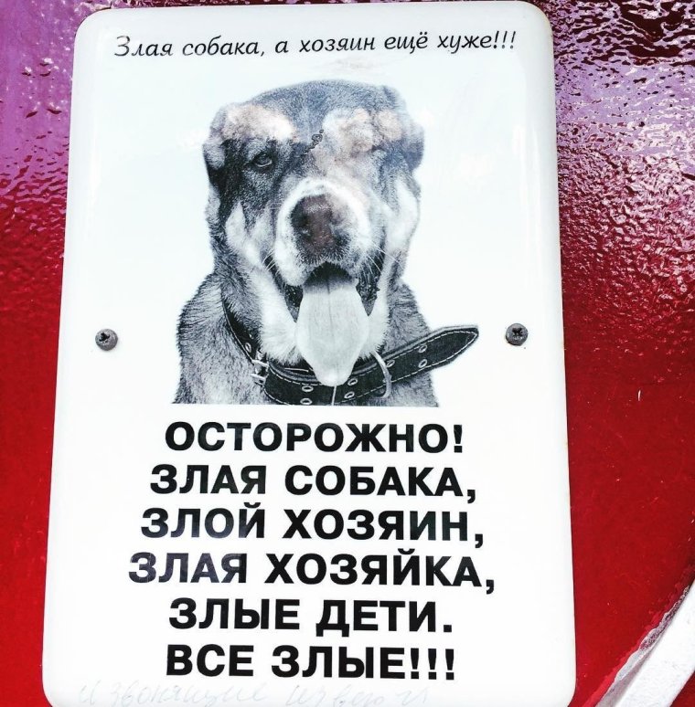 Злой хозяин злая хозяйка