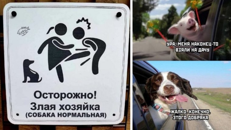 "Осторожно! Злая хозяйка"