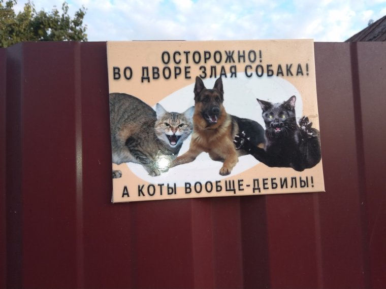 Злая собака табличка Йорк