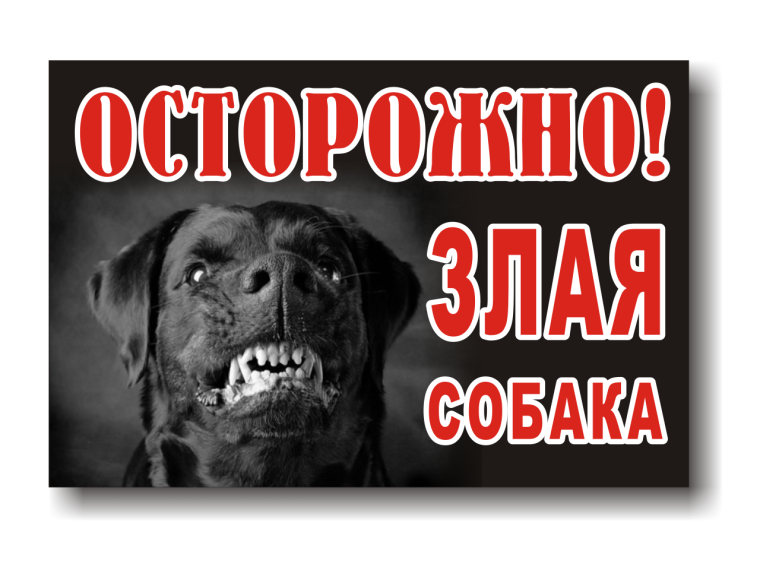 Злая собака прикол