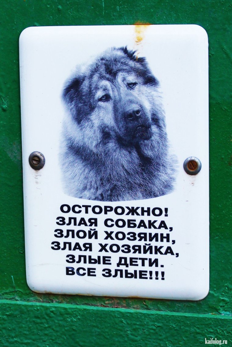 Табличка осторожно злая собака