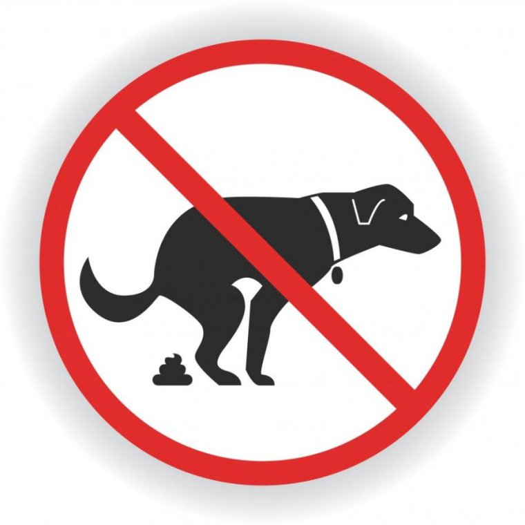 Собака гадит на газон