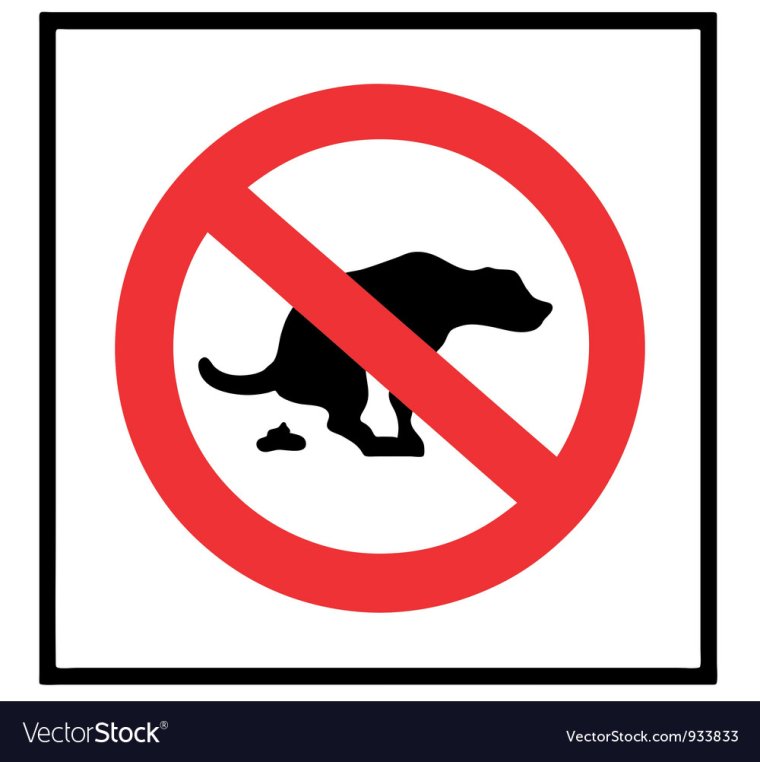 Собачка какает