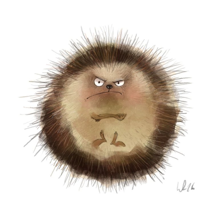 Недовольный еж