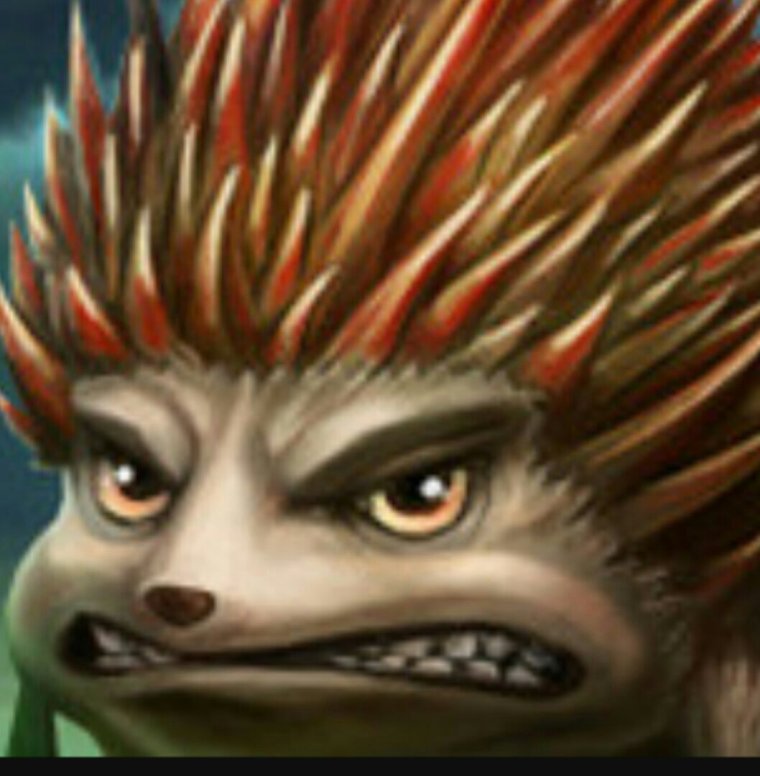 Ежи ночные животные