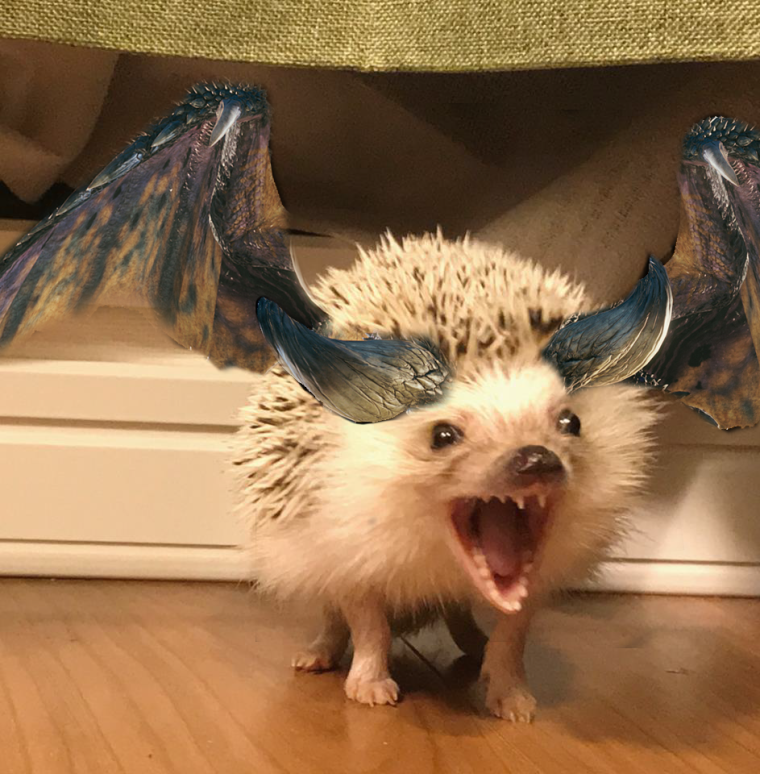 Ёжик Марутаро