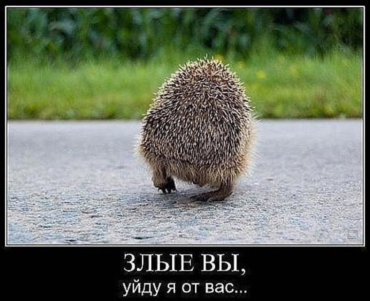 Милый Ежик зубы