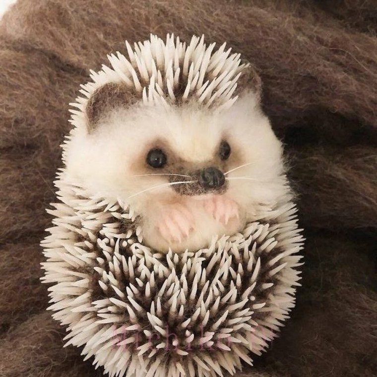 Милый еж