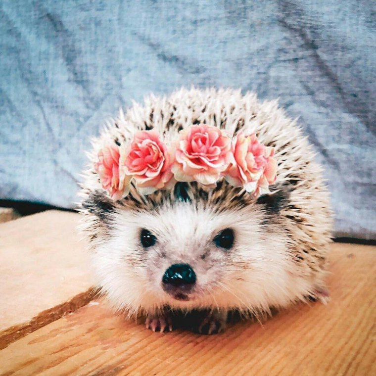 Шапка 'Ёжик'