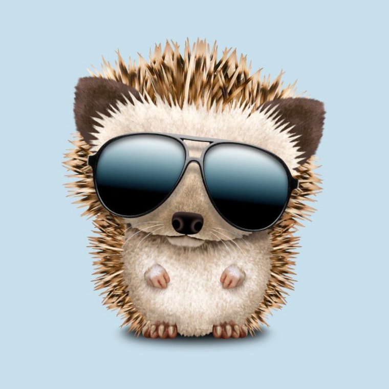 Еж Марутаро