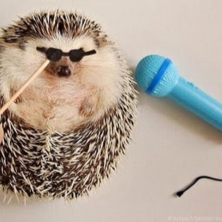 Еж милый арт