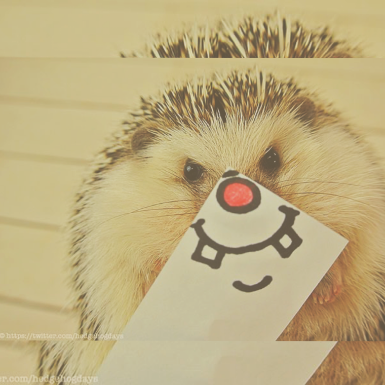 Летающий Ежик