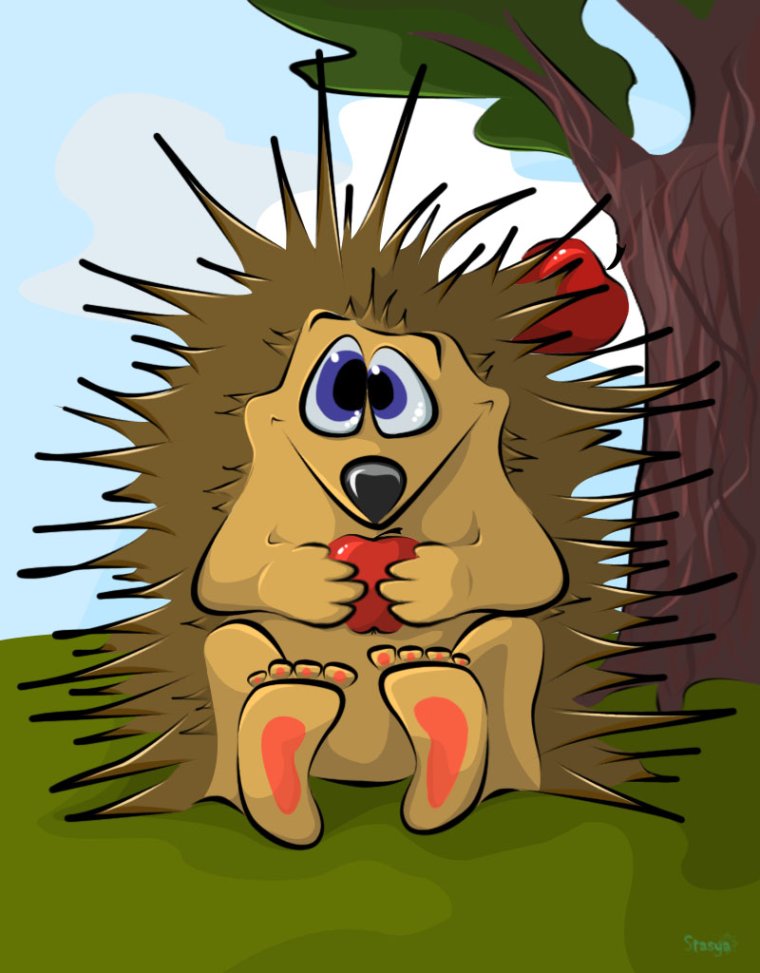 Красивый Ежик