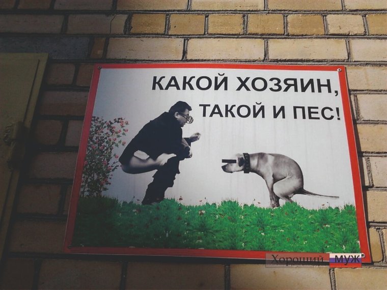 Волк прикол