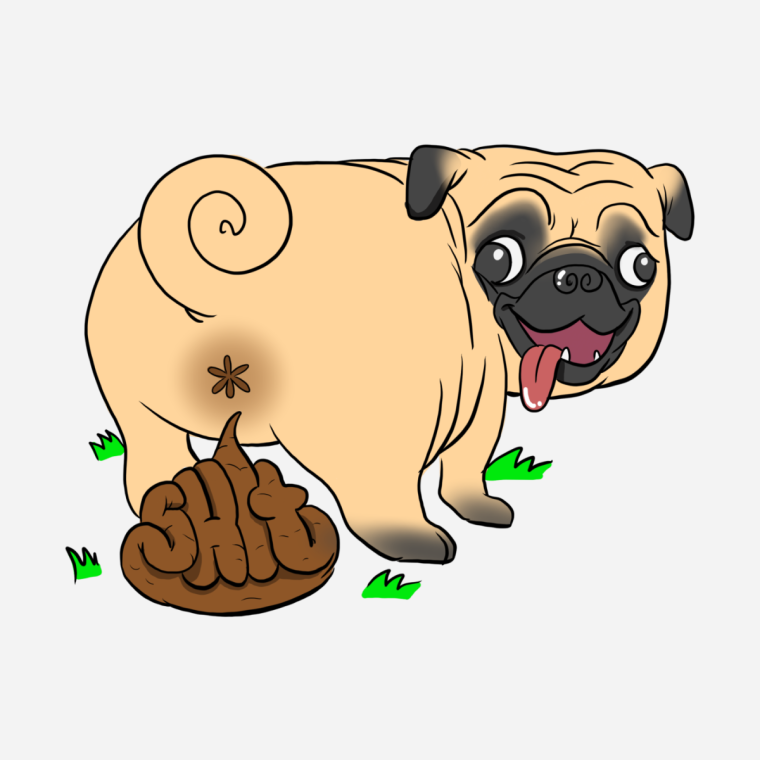 Медведь кричит из кустов