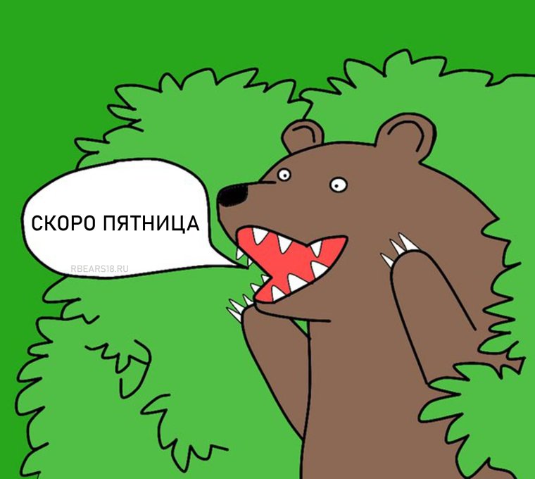 Собака гадит