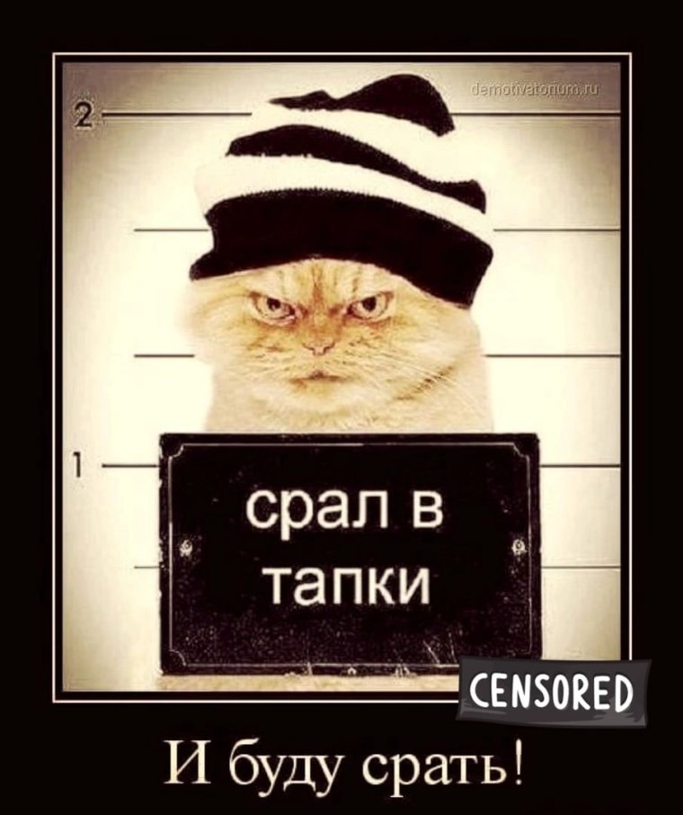 Медведь и заяц говно к шерсти