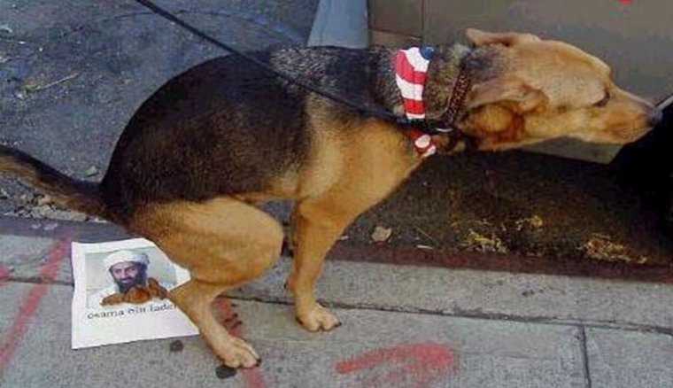 Памятник писающей собаке