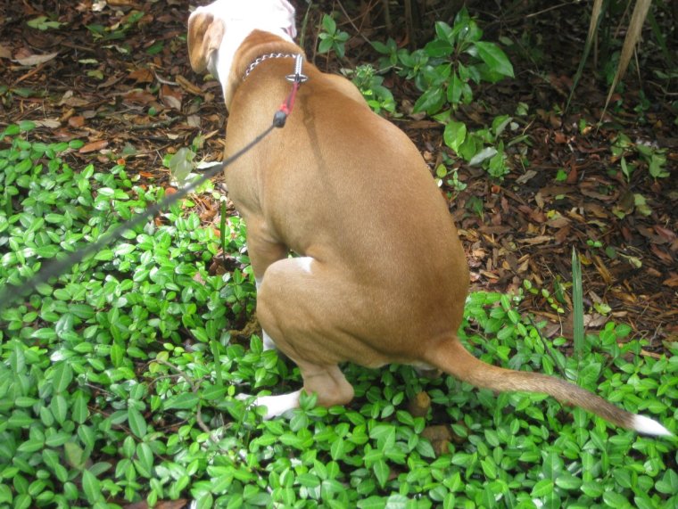 Наклейки на тазы