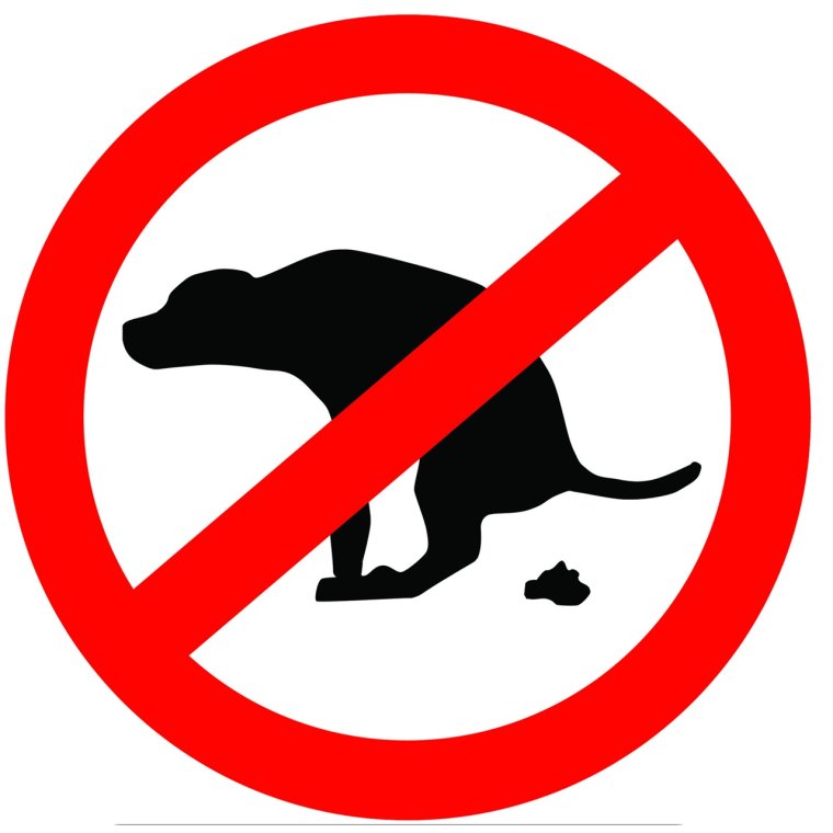 Приколы про собачников