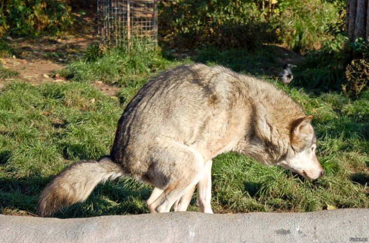 Удачные кадры смешные