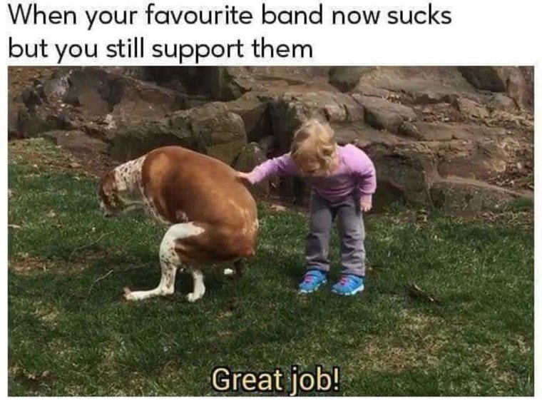 Собака гадит