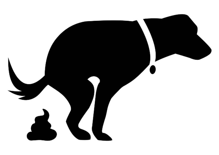 Доберман смешной