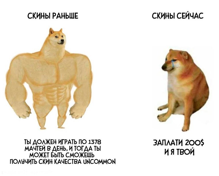 Смешные коты на унитазе