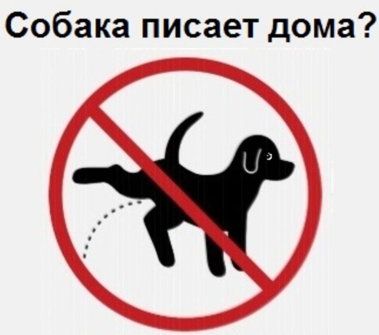 Табличка убирать за питомцами