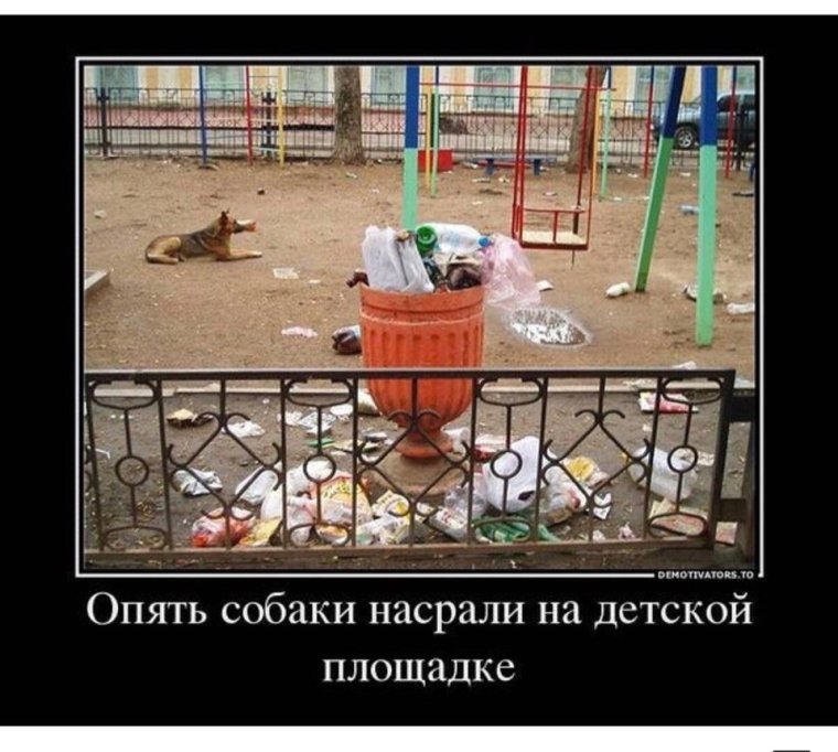 Собака нюхает