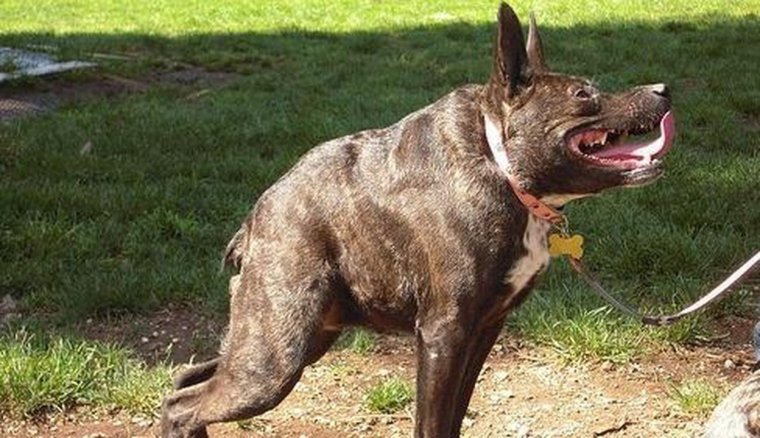 Два взгляда на мир