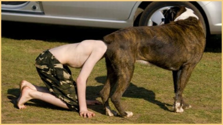 Убирать за своими питомцами