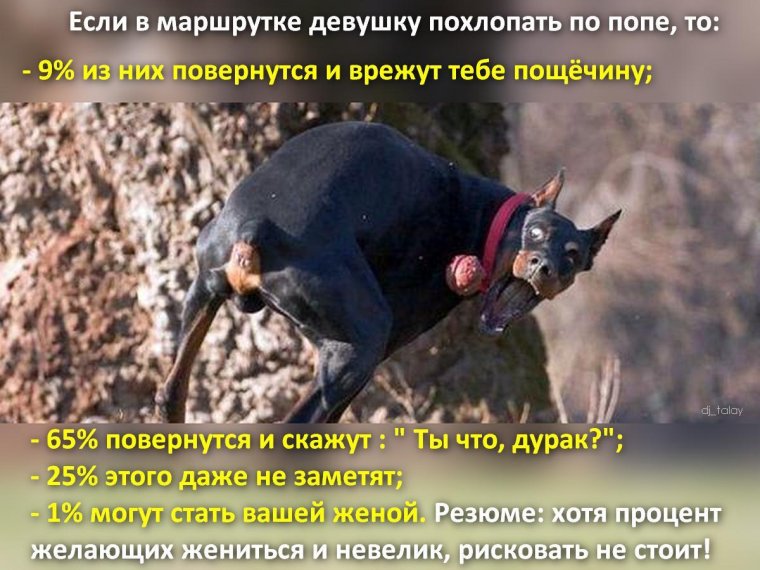 Смешные картинки день не задался