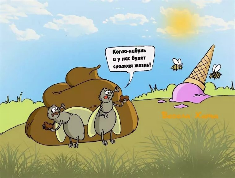 Нет собакам