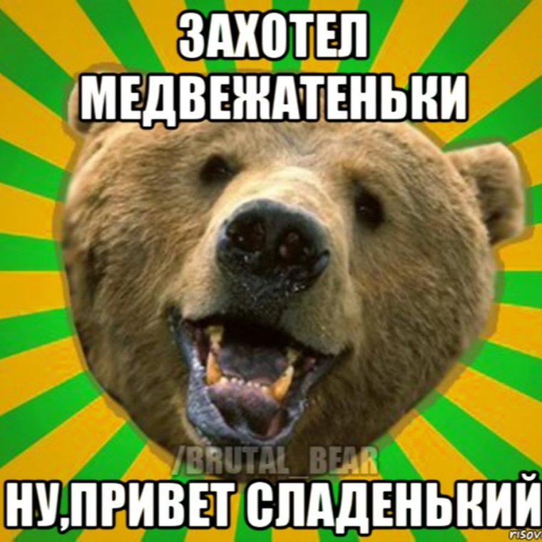 Собака какает фото