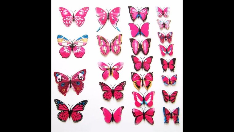 Бабочки фотопечать