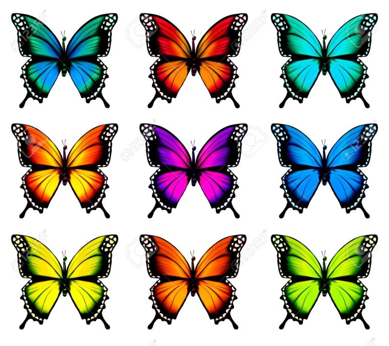 Красивые цветные бабочки для вырезания