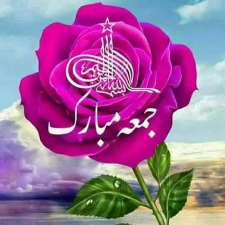 Джума мубарак розы